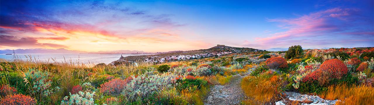 Le nostre attività sono varie e sfaccettate. Come i colori della Sardegna.